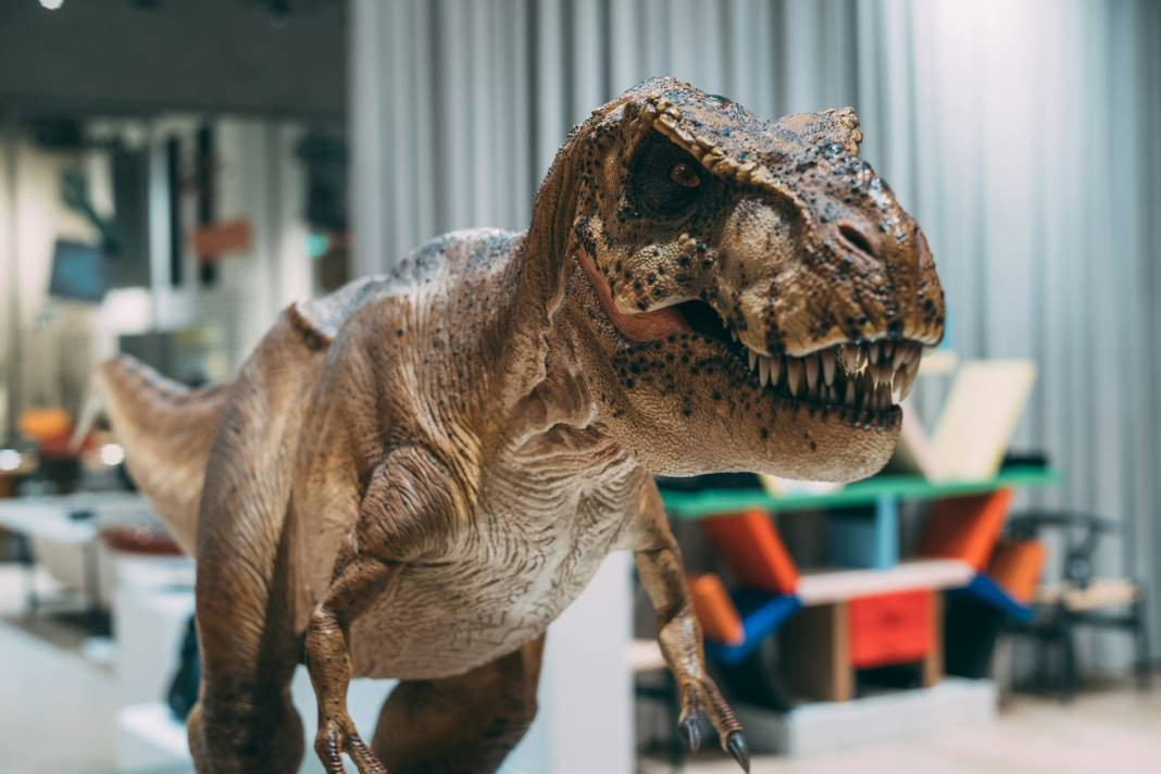 Dinozorlar geri mi dönüyor? Jurassic Park filmi gerçek mi oluyor - Resim: 16